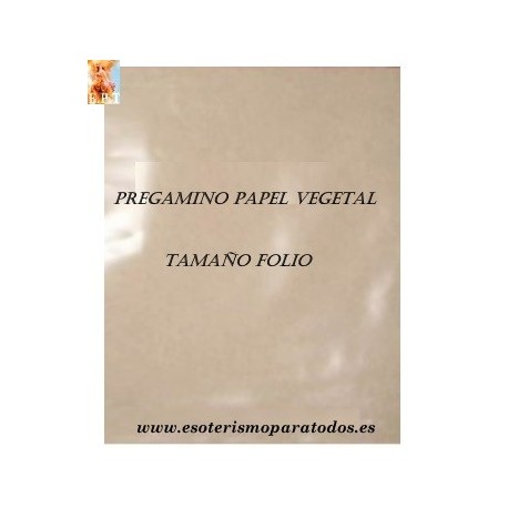 PERGAMINO FOLIO PAPEL VEGETAL