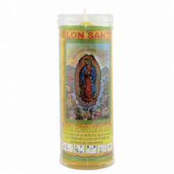 VS VIRGEN DE LA GUADALUPE