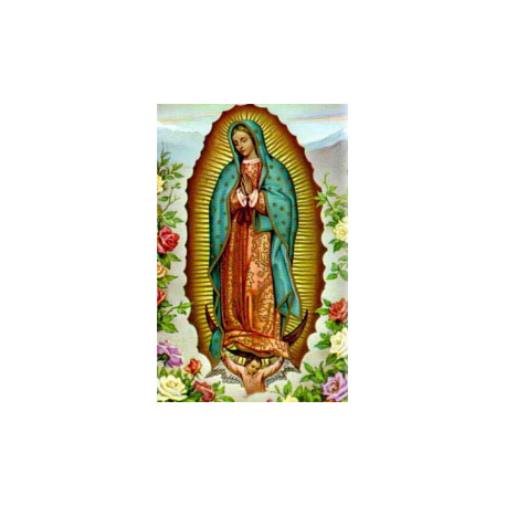 ESTAMPA GUADALUPE VIRGEN MEXICO