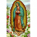 ESTAMPA GUADALUPE VIRGEN MEXICO