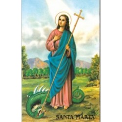 ESTAMPA SANTA MARTA