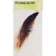 PLUMA DE RITUAL