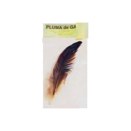 PLUMA DE RITUAL