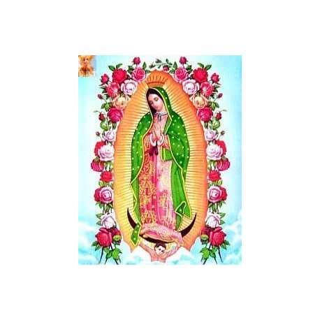 ESTAMPA VIRGEN GUADALUPE