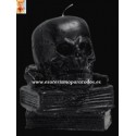 CALAVERA NEGRA CON LIBRO